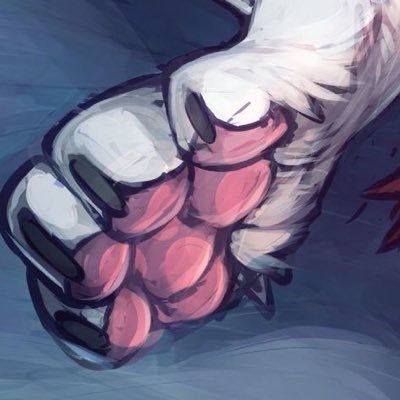 Snowさんのプロフィール画像