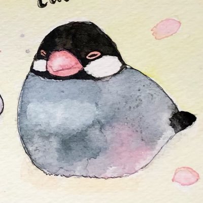 まゆたま🍃🌊さんのプロフィール画像