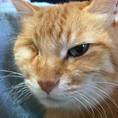 EJ7KnuRYUPvoBWj's profile picture. 