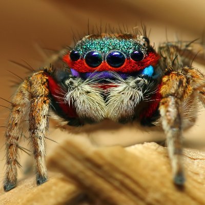 majorpayne1979's profile picture. 