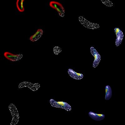 brattonlab's profile picture. Experimental and computational lab studying bacterial cell shape and computational imaging approaches at Vanderbilt University Medical Center. Views our own.