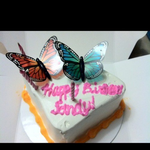 hdhlittle's profile picture. 