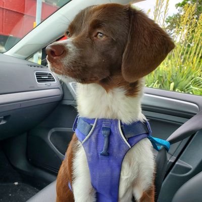 Calvsams's profile picture. 