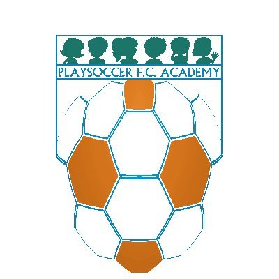 Non-profit organization committed to introducing and teaching the beautiful game of soccer in urban communities.