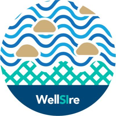 Wellbeing Returns on Social Investment