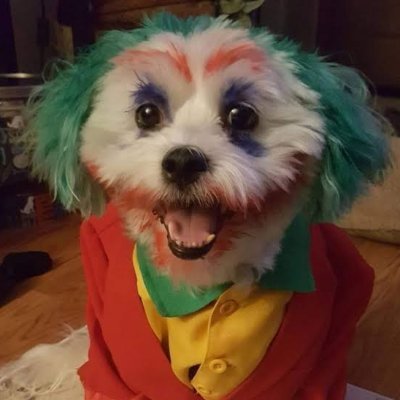EzrealClownguardさんのプロフィール画像
