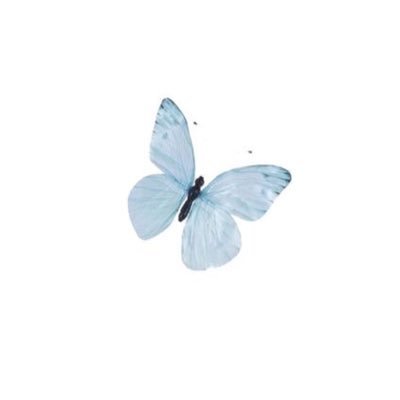 tweet
