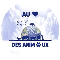 Au coeur des animaux(@AuCoeurAnimaux) 's Twitter Profile Photo