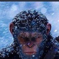 P Williams (@coachpwill) 's Twitter Profile