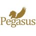 Pegasus Publishers (@pegasuspublish) Twitter profile photo