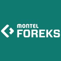 montelforeks's profile picture. Turkey’s trusted source for energy news and data