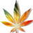 Weedvideos's profile image