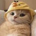 lauren 🥮 (@l_unaren) Twitter profile photo lauren 🥮 (@l_unaren) Twitter profile photo