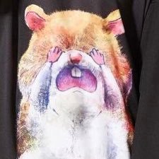 ハムさんのプロフィール画像