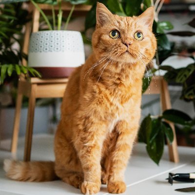 bryce10101's profile picture. 这是我的所见所闻ing