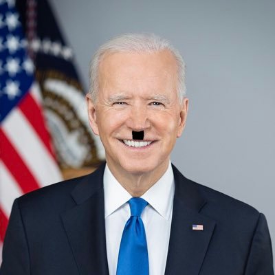 GermanBiden Profile Picture