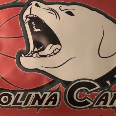 We strive to provide training in sports for our youth, to encourage community service & support academic growth. Leaders ON and OFF the Court! #PrideIsInMyName