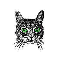 Sid The Cat (@sidthecat) 's Twitter Profile