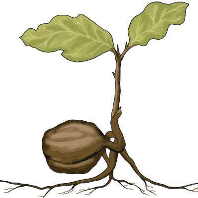 We specialize in bare root fruit and nut trees, berry bushes, fruiting vines, nitrogen fixers, and other perennial permaculture plants.