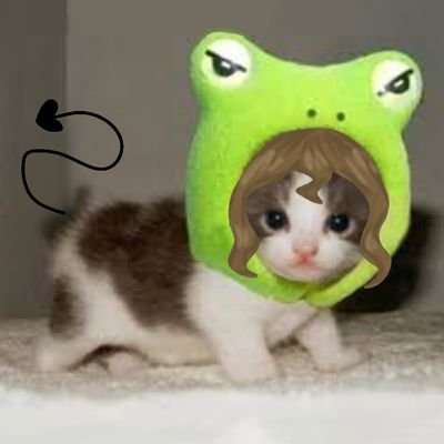 AlpakA🍄さんのプロフィール画像