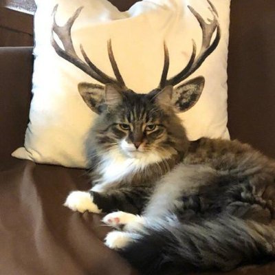 gavinni9's profile picture. 