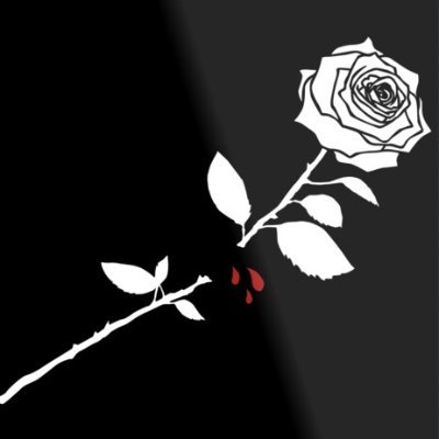 xikxrr's profile picture. 