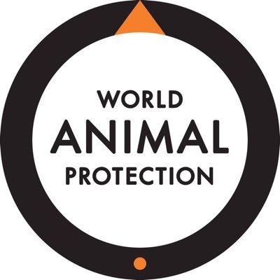 World Animal Protection (@MoveTheWorld) / Twitter World Animal Protection (@MoveTheWorld) / Twitter