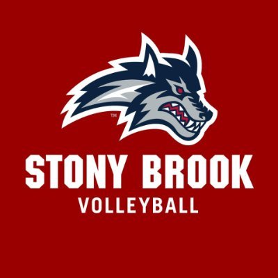 Official Twitter of Stony Brook Volleyball 2017 & 2018 Conference Champions 🏆

IG: @StonyBrookVB

🌊🐺 x #GoSeawolves