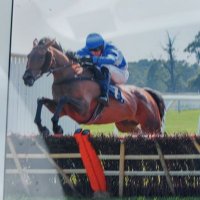 Matt (@mclafferty1) 's Twitter Profile