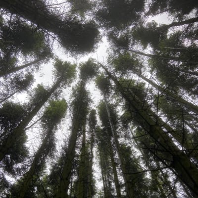 DeanMor64341398's profile picture. I’m a nice guy.