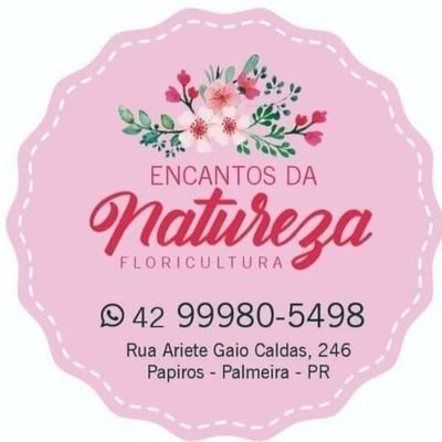 Floricultura encanto natureza.
Flores para presentear,cestas de café da manhã, cesta de guloseimas, buquês de cerveja, buquê de chocolate,buque de flores .