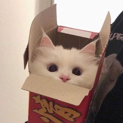 my__tobi's profile picture. 