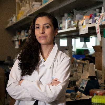 Isis Trujillo-Gonzalez, PhD Profile