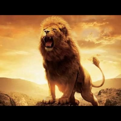 Mdazaad83254127's profile picture. Love