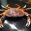 Alisa Erickson - @AlisaJErickson - Twitter