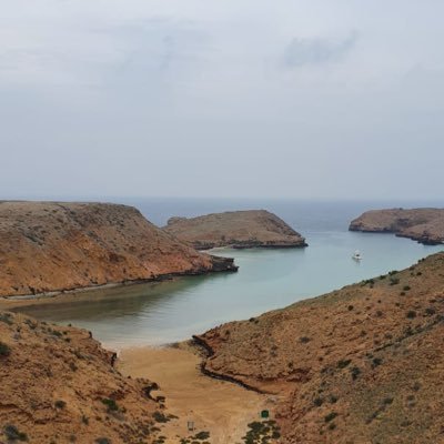 fjadoon7's profile picture. 