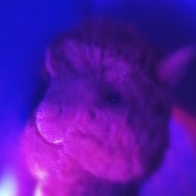 SkinnyCock64's profile picture. wassup yo its yo bro SkinnyCock64