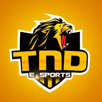 TND eSports (@tnd_team) 's Twitter Profile