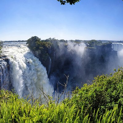 tekerelee's profile picture. 