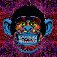 BitcoinRubio (@bitcoinrubio) 's Twitter Profile Photo