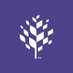 Raleigh Arts (@raleigh_arts) Twitter profile photo Raleigh Arts (@raleigh_arts) Twitter profile photo