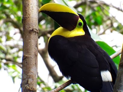 Mr_PishPish's profile picture. yo mushka mommi