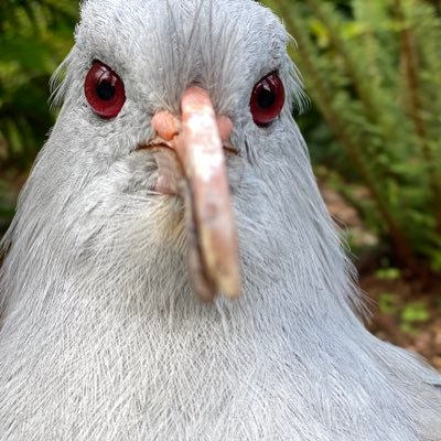 BUBU_The_Bad's profile picture. 