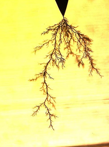 ETreeing's profile picture. This program will determine the existence of treeing in the electrical cables