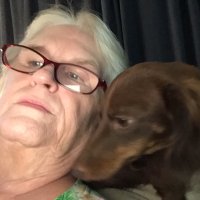 julesiam (@julesiam) 's Twitter Profile