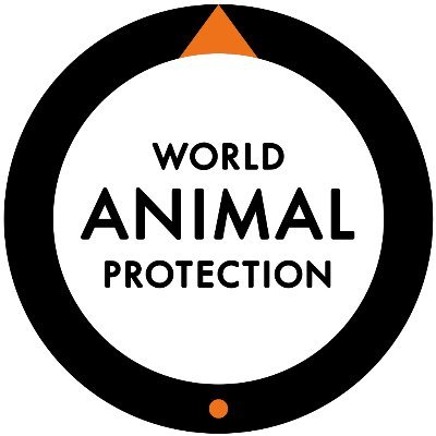 Somos World Animal Protection 🐷🐵🐮🐋🐱
Movemos al mundo para proteger a los animales. Síguenos y ayúdanos a acabar con la crueldad animal. 
▶︎ https://t.co/LcP18uBlrn