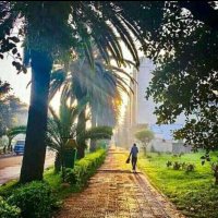 Fasil Tariku (@fasiltariku) 's Twitter Profile