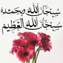 hamdh567's profile picture. 