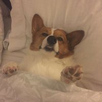 Jn Snbr (@bloqueerratico) 's Twitter Profile