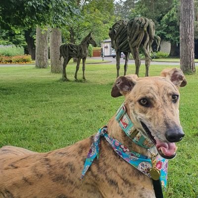 Keithdahobo's profile picture. 